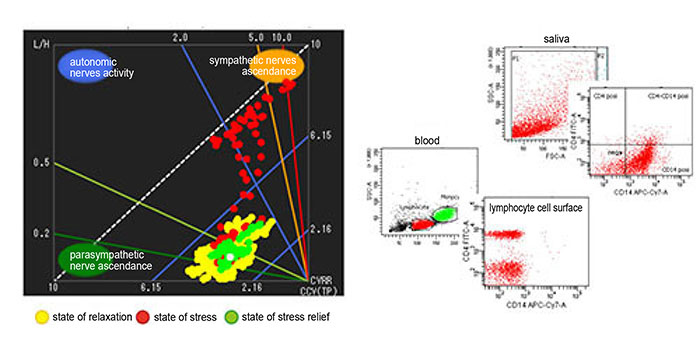 Disaster Psychiatry Clinical Research image