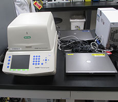 Real Time PCR System