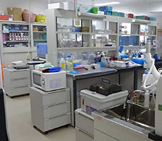 Laboratory1