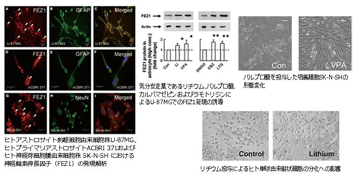 msC[W摜